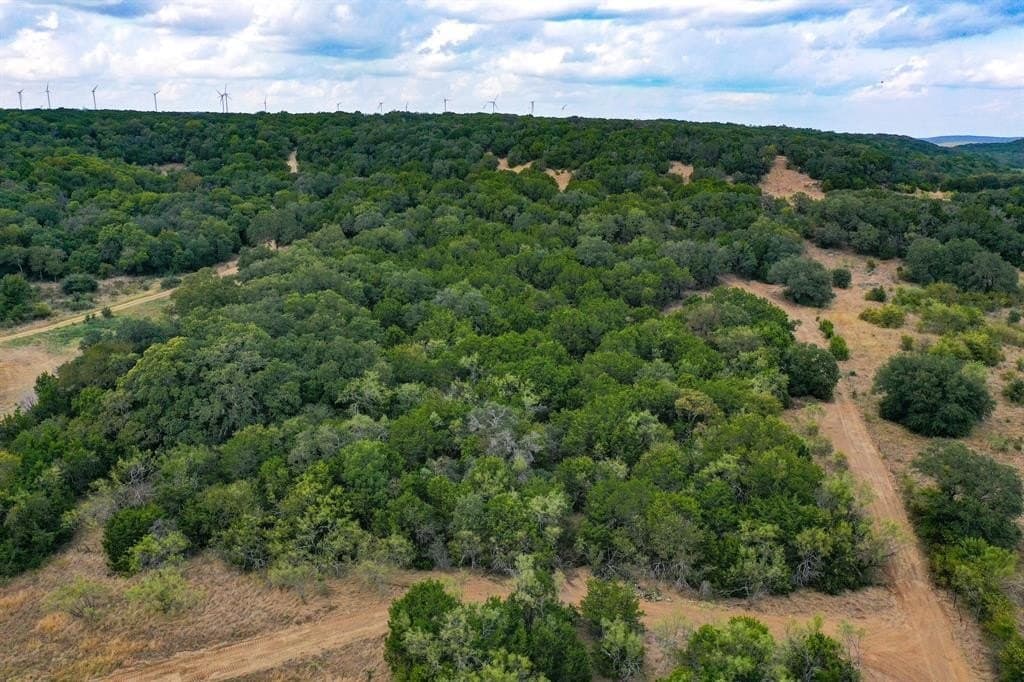 79 acres in Jack County - photo 4