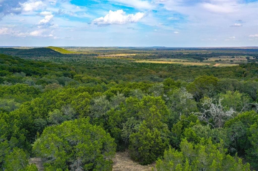 79 acres in Jack County - photo 10
