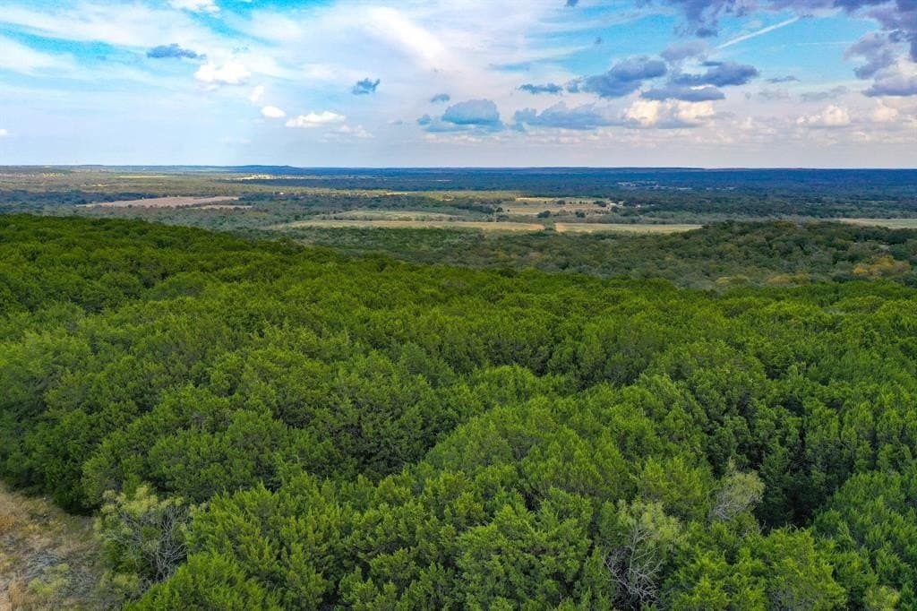 79 acres in Jack County - photo 15