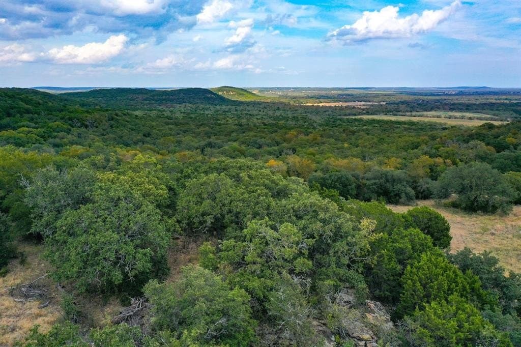 79 acres in Jack County - photo 7