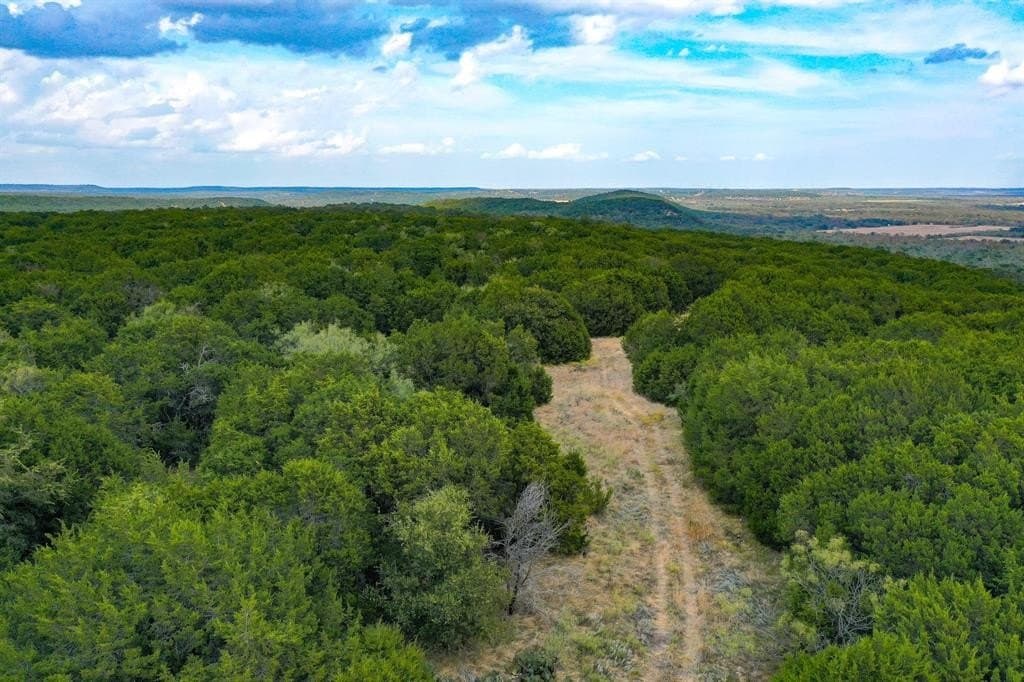 79 acres in Jack County - photo 14
