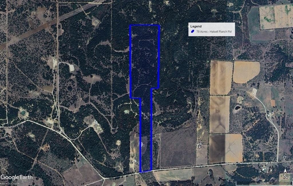 79 acres in Jack County - photo 17
