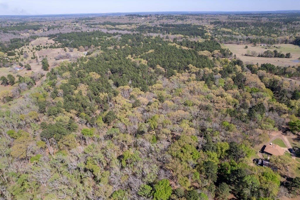 17.18 acres in ANDERSON County - photo 22
