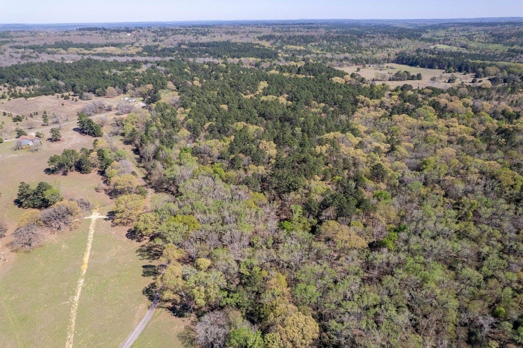 17.18 acres in ANDERSON County - photo 24