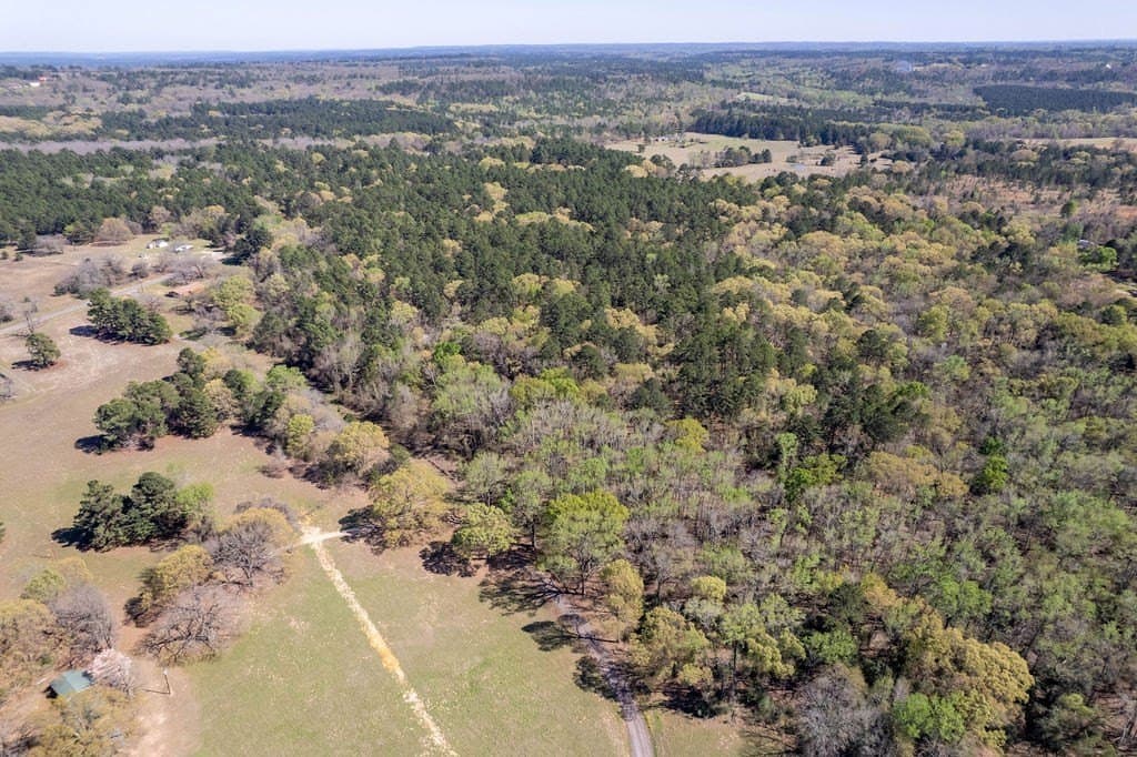 17.18 acres in ANDERSON County - photo 25