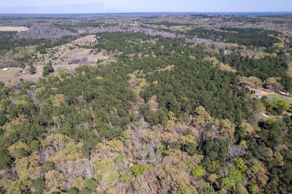 17.18 acres in ANDERSON County - photo 18