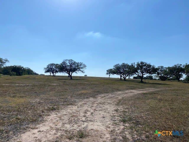 84.68 acres in Goliad County - photo 2