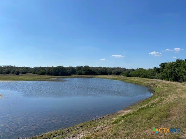 84.68 acres in Goliad County - photo 4