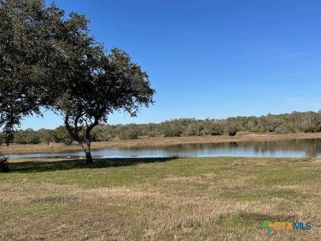 84.68 acres in Goliad County - photo 5