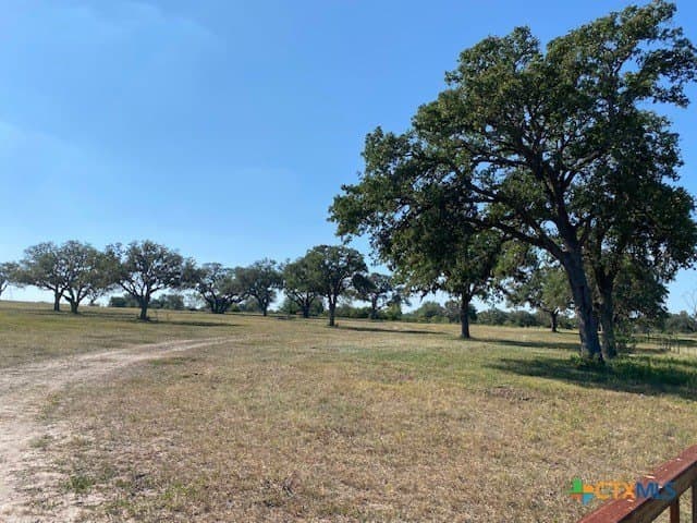 84.68 acres in Goliad County - photo 3