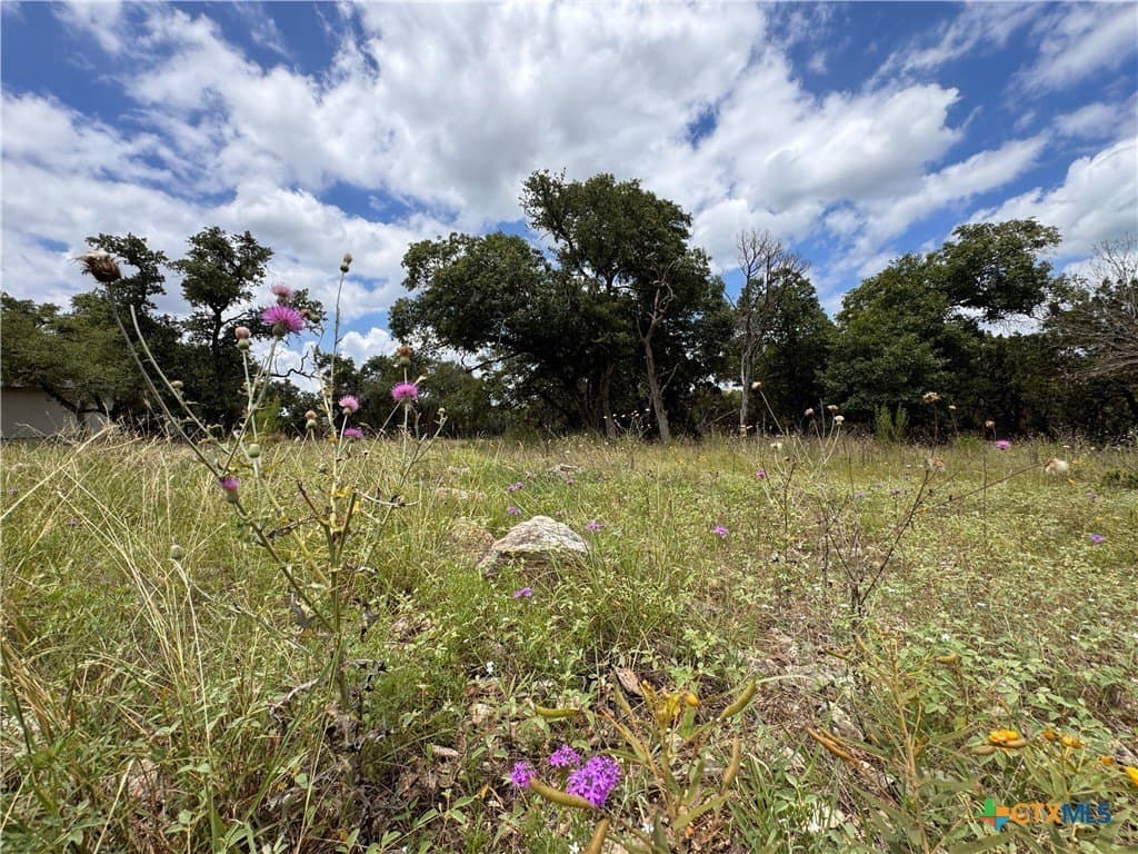 1.02 acres in Comal County - photo 10