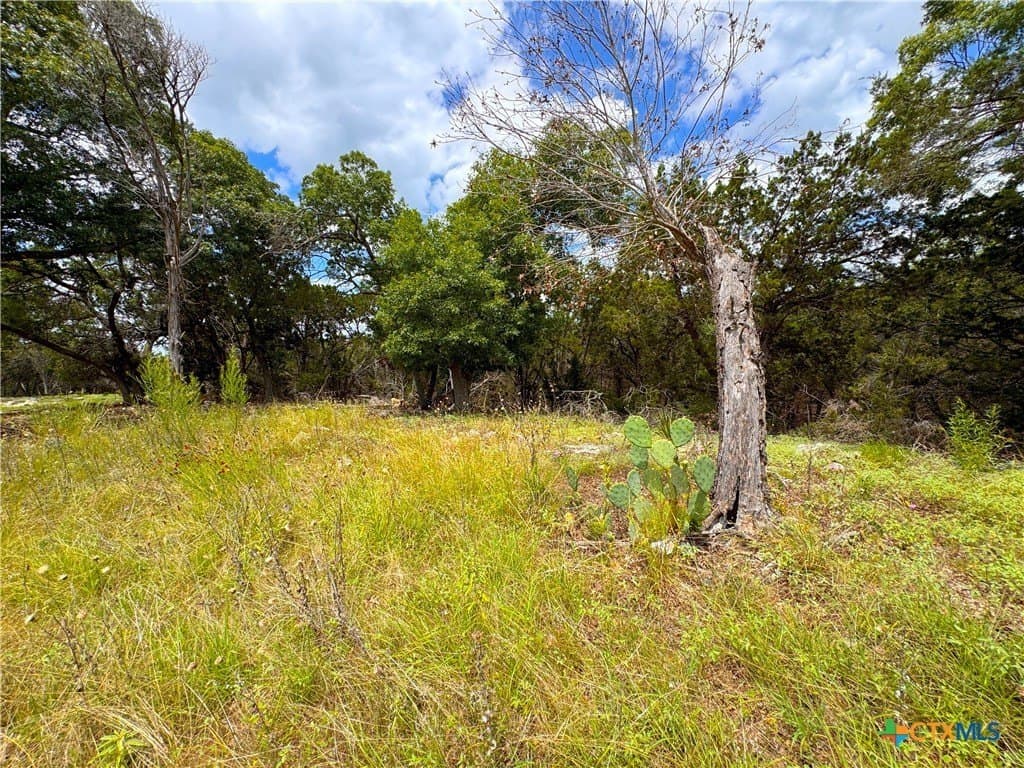 1.02 acres in Comal County - photo 9