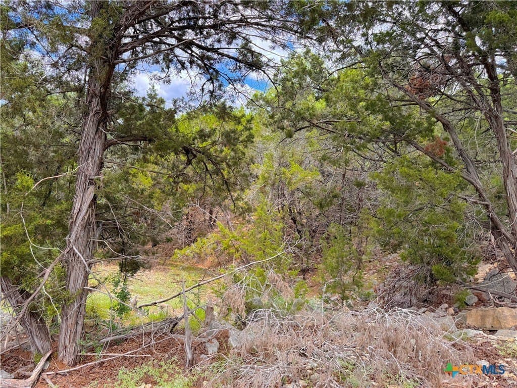 1.02 acres in Comal County - photo 5