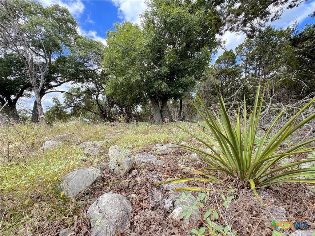 1.02 acres in Comal County - photo 7