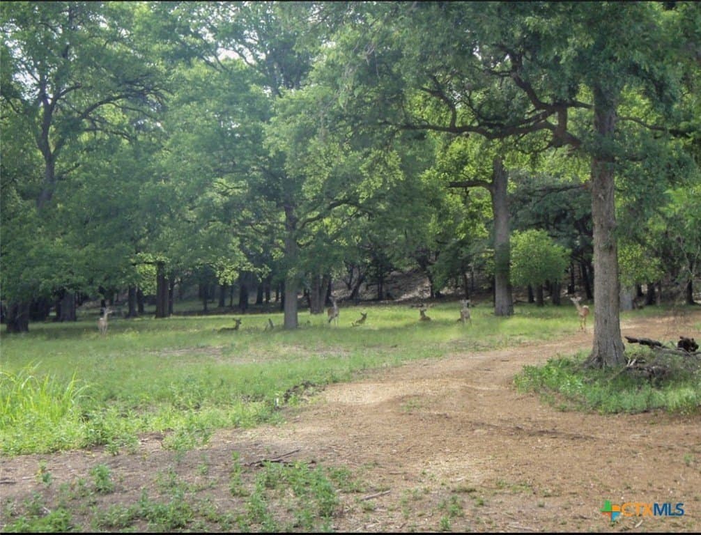 1.02 acres in Comal County - photo 14