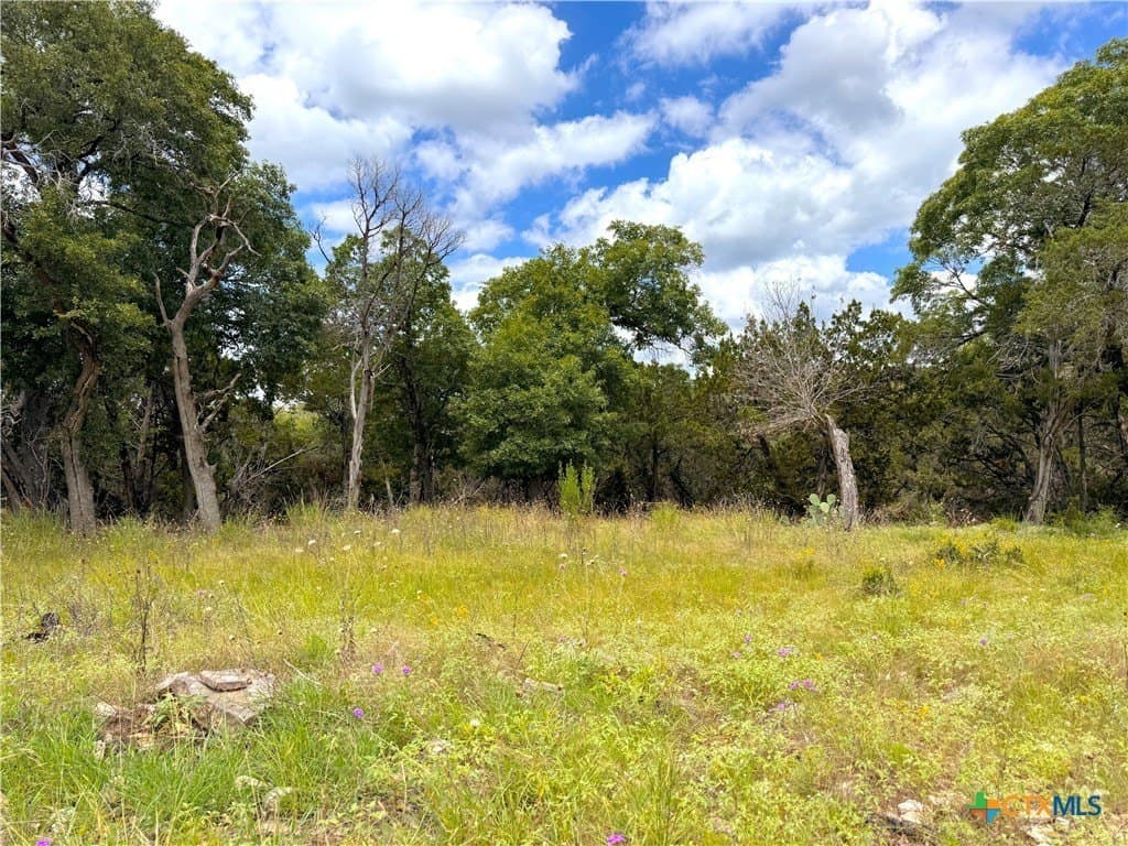 1.02 acres in Comal County - photo 6