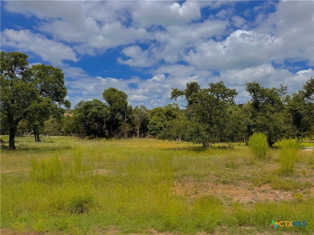 1.02 acres in Comal County - photo 3