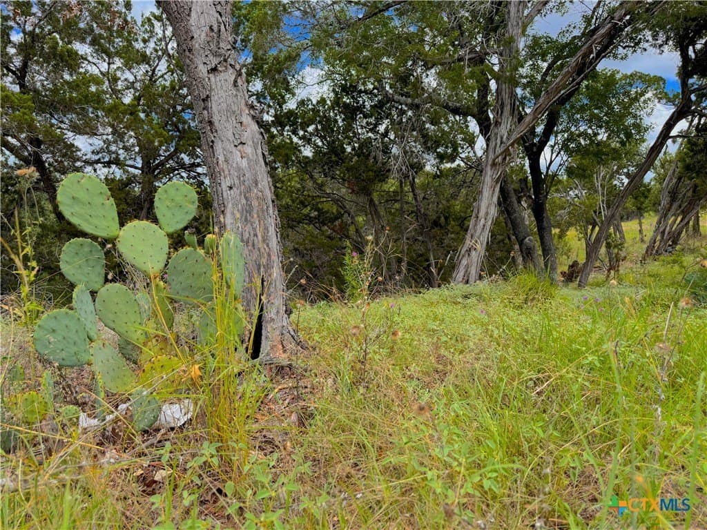 1.02 acres in Comal County - photo 4