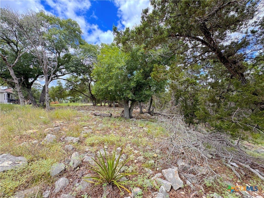 1.02 acres in Comal County - photo 8