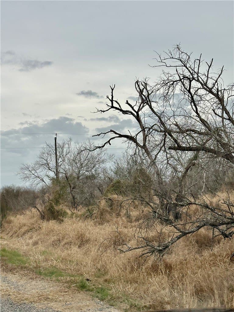 1.5 acres in San Patricio County - photo 2