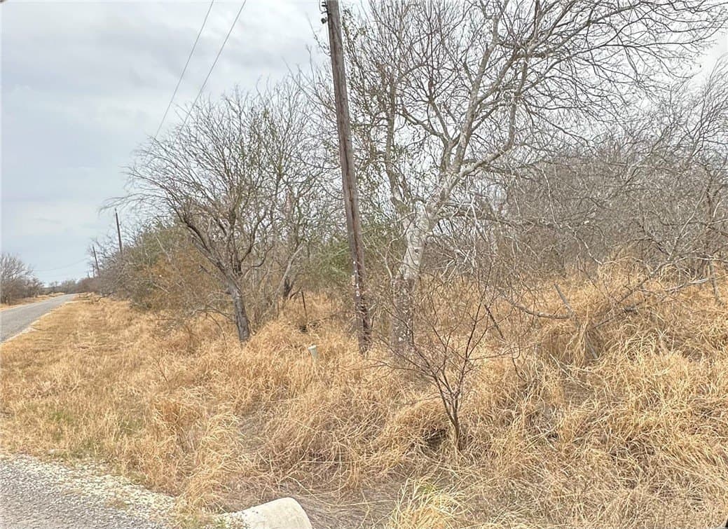 71491/2 County Road 2379 lot: 35, A