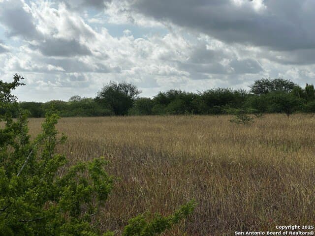 94.67 acres in Jim Wells County - photo 17