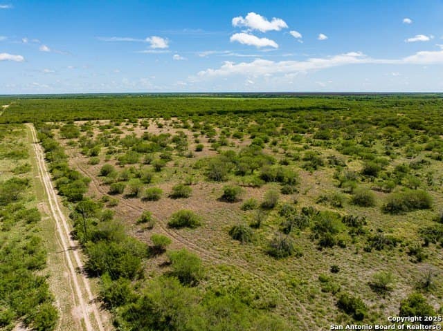 94.67 acres in Jim Wells County - photo 3
