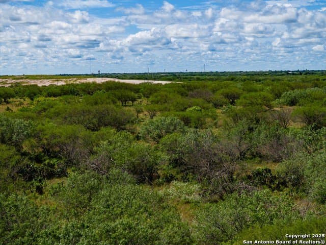 94.67 acres in Jim Wells County - photo 14