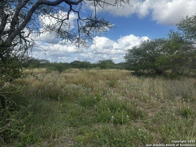 94.67 acres in Jim Wells County - photo 20