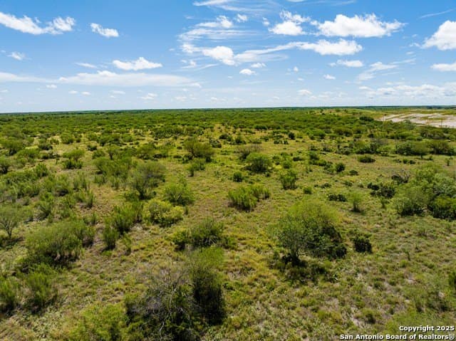 94.67 acres in Jim Wells County - photo 9