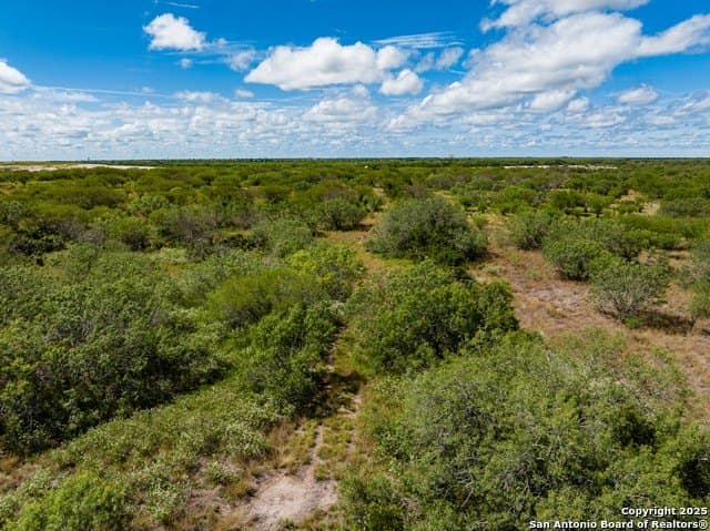 94.67 acres in Jim Wells County - photo 13