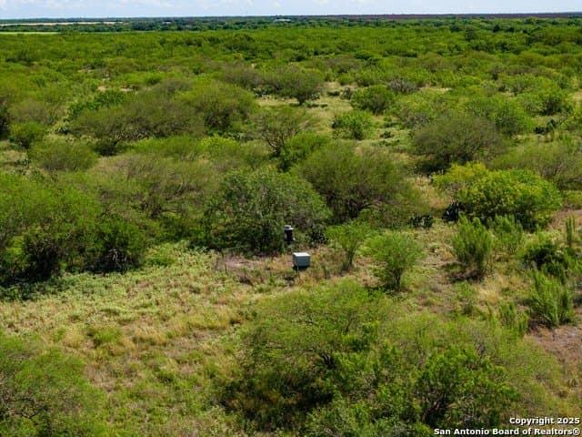 94.67 acres in Jim Wells County - photo 7