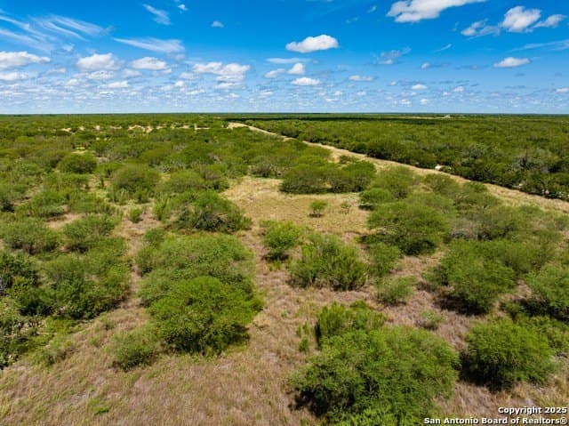 94.67 acres in Jim Wells County - photo 12