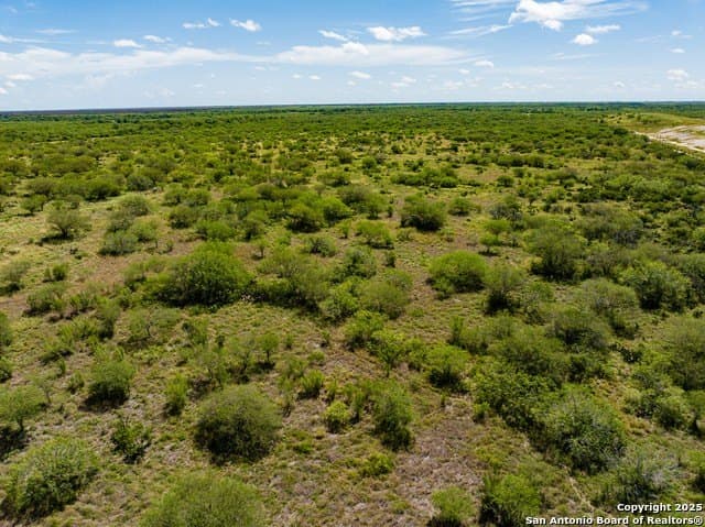 94.67 acres in Jim Wells County - photo 6