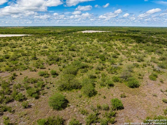 94.67 acres in Jim Wells County - photo 10