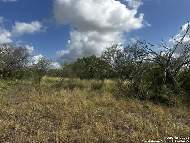 94.67 acres in Jim Wells County - photo 18