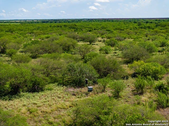 94.67 acres in Jim Wells County - photo 8