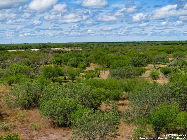 94.67 acres in Jim Wells County - photo 15