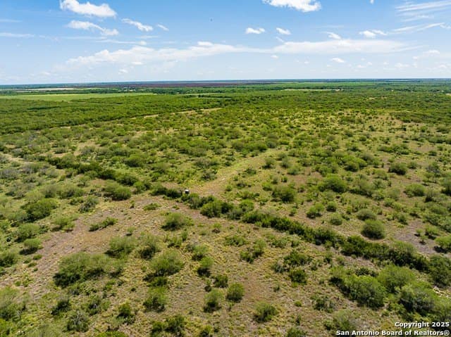 94.67 acres in Jim Wells County - photo 4