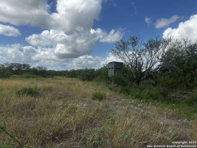 94.67 acres in Jim Wells County - photo 19