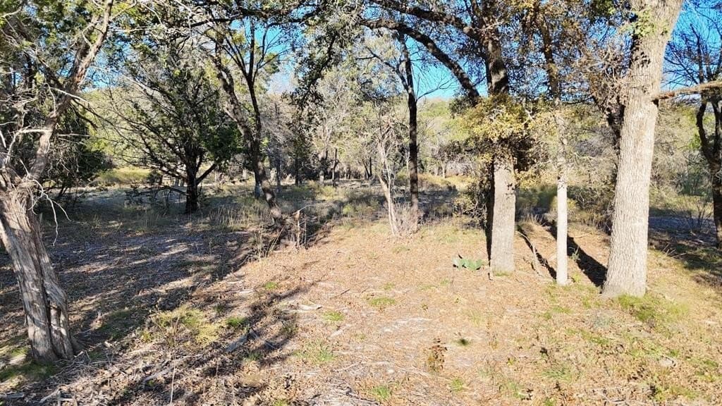 6 acres in Palo Pinto County - photo 4