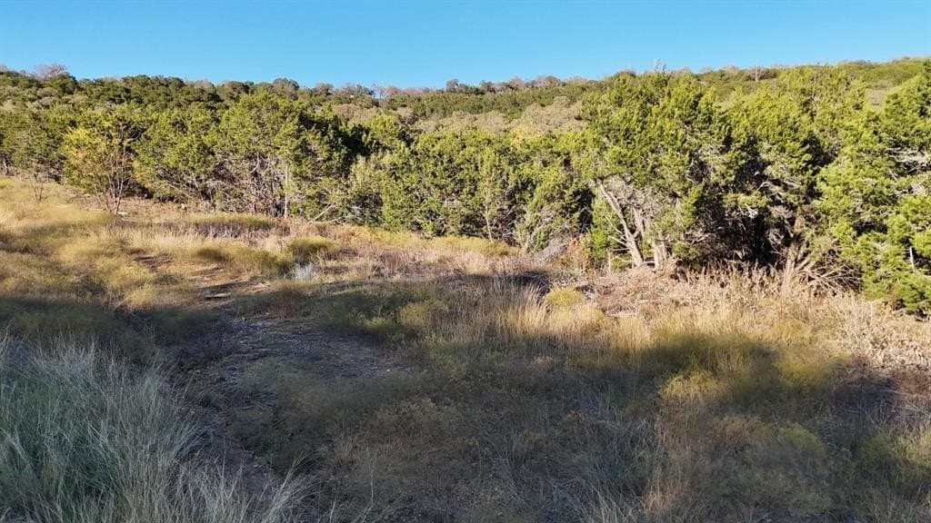 6 acres in Palo Pinto County - photo 8