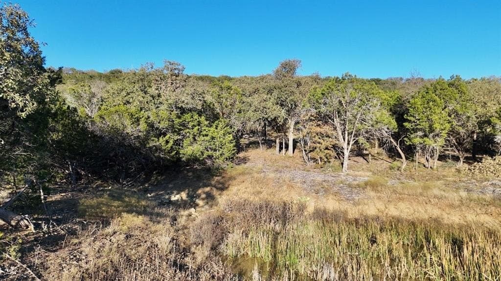 6 acres in Palo Pinto County - photo 3