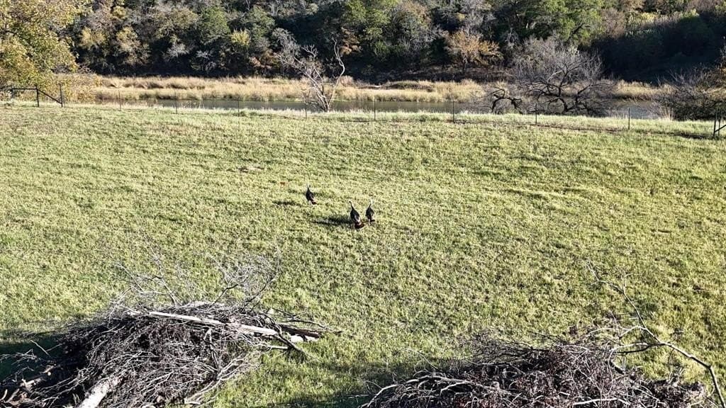 6 acres in Palo Pinto County - photo 5