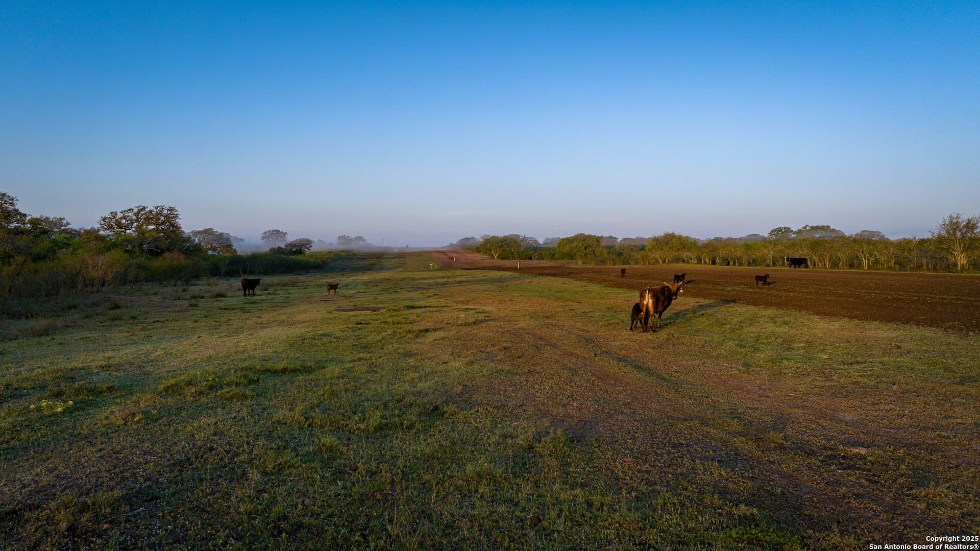 0 acres in Goliad County - photo 9