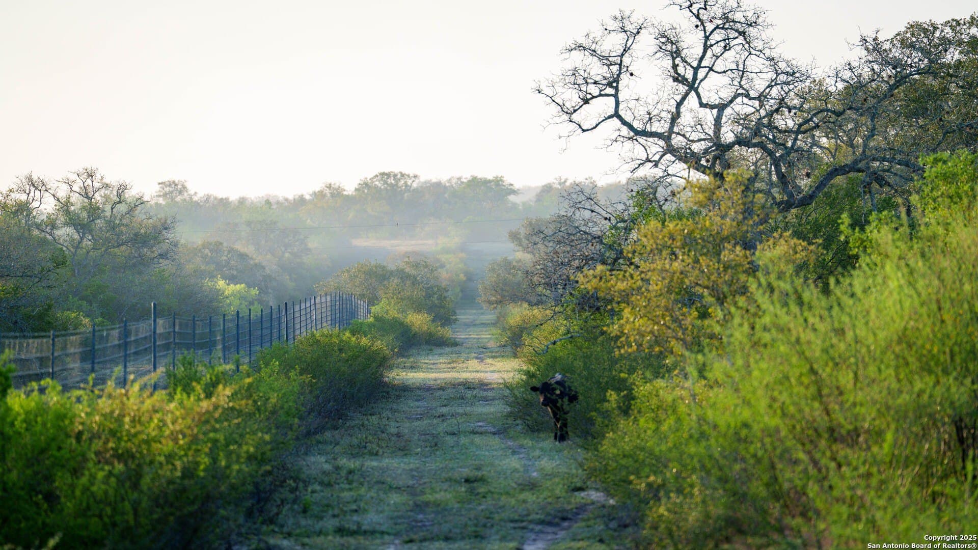 0 acres in Goliad County - photo 22
