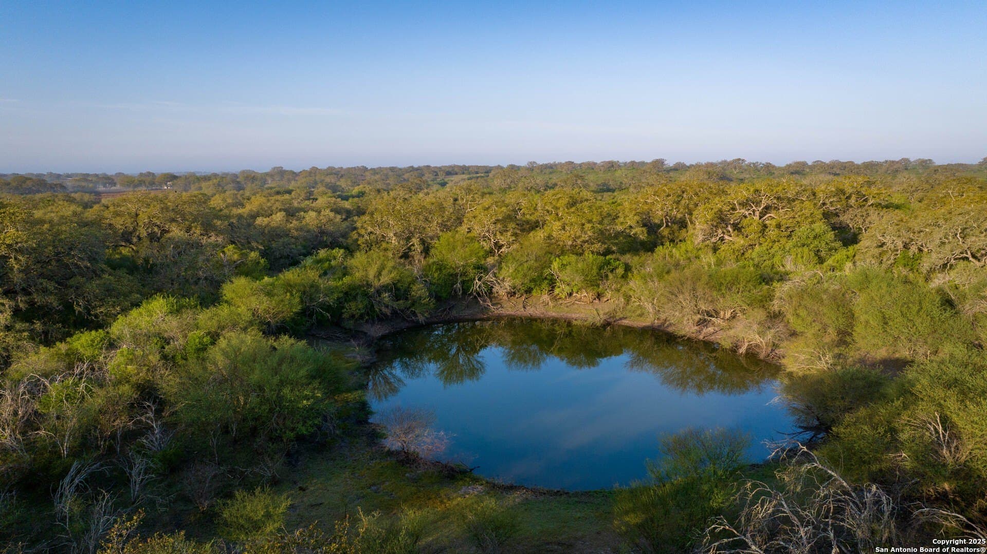0 acres in Goliad County - photo 38