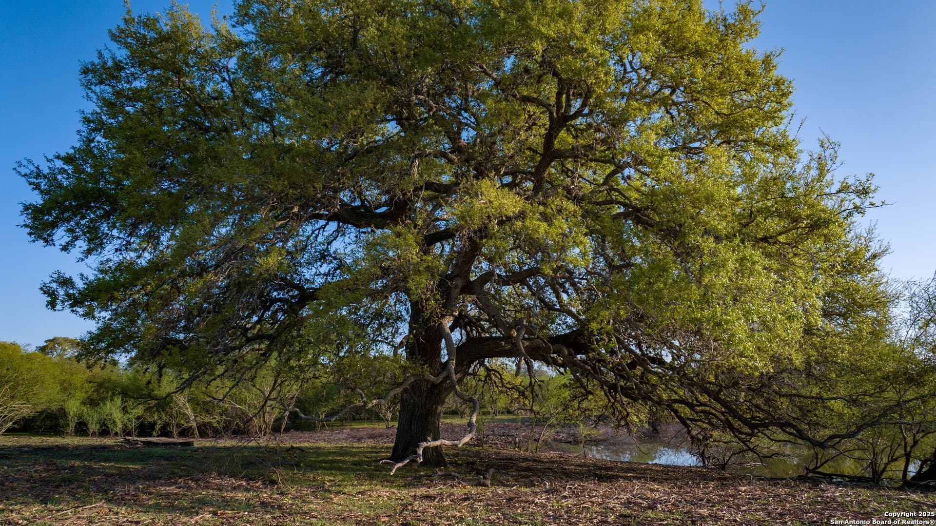 0 acres in Goliad County - photo 62