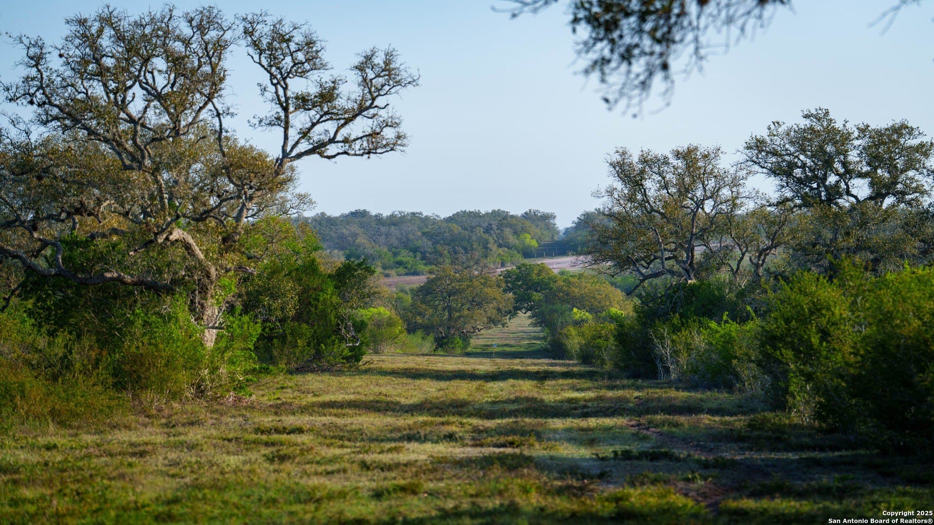 0 acres in Goliad County - photo 49
