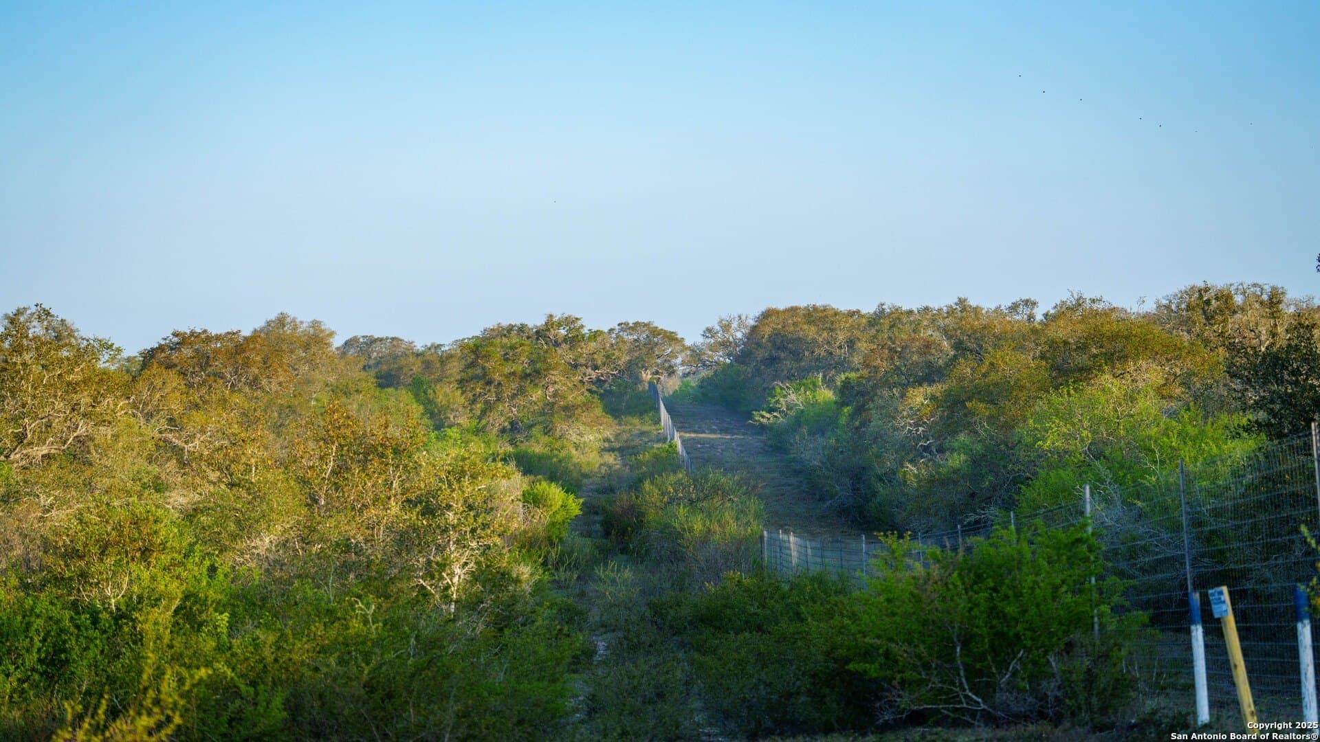0 acres in Goliad County - photo 21